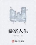 暴富人生