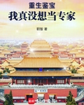 重生鉴宝：我真没想当专家